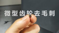  小微齒輪去毛刺清理，適合磨粒流加工！ 
